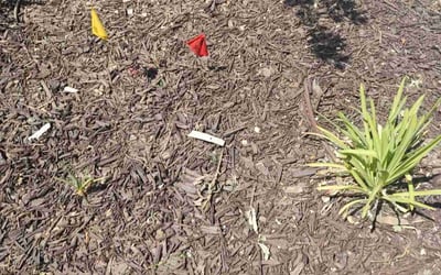 Photo of Victor G.'s yard after getting landscaping in Fresno, CA
