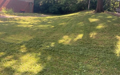 Photo of Kevin P.'s yard after getting landscaping in Waverly, MO