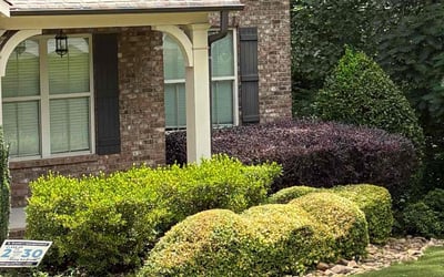 Photo of John M.'s yard after getting landscaping in Smyrna, GA