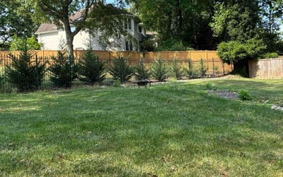 Photo of Robert M.'s yard after getting landscaping in Catlett, VA