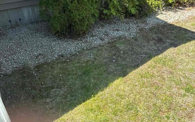 Photo of Joseph M.'s yard after getting landscaping in Portsmouth, NH