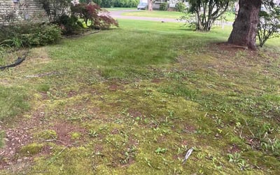 Photo of Brian S.'s yard after getting landscaping in Southington, CT