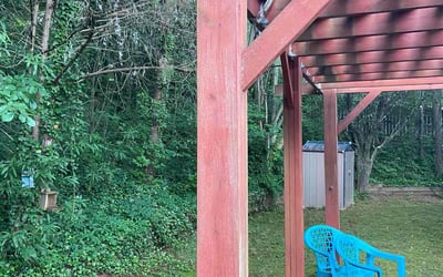 Photo of Katherine A.'s yard after getting landscaping in Clinton, SC