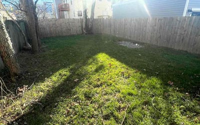 Photo of Ashley R.'s yard after getting landscaping in Boyce, VA