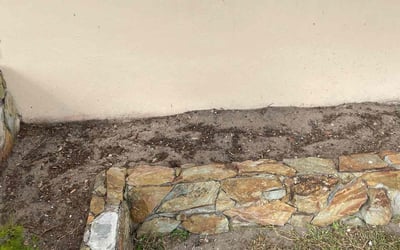 Photo of Ariel H.'s yard after getting tree care in Pembroke Pines, FL