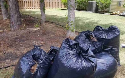 Photo of Sharon W.'s yard after getting landscaping in Saint Stephen, SC