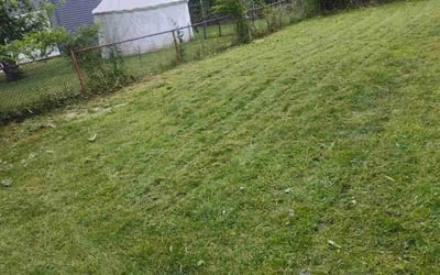 Photo of Morgan E.'s yard after getting landscaping in Madison, OH