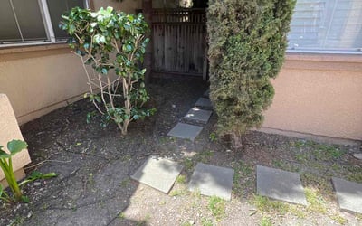 Photo of Ophelia R.'s yard after getting tree care in Redding, CA