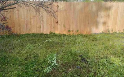 Photo of Molly P.'s yard after getting landscaping in Stoughton, WI