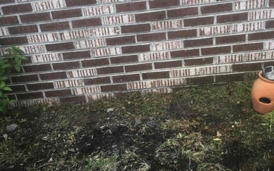 Photo of Nancy R.'s yard after getting landscaping in Marlton, NJ