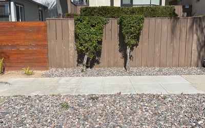 Photo of Sean C.'s yard after getting tree care in Encinitas, CA
