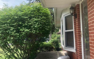 Photo of Emelda D.'s yard after getting landscaping in Saint Clair Shores, MI