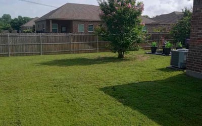 Photo of Patricia A.'s yard after getting landscaping in Lancaster, TX