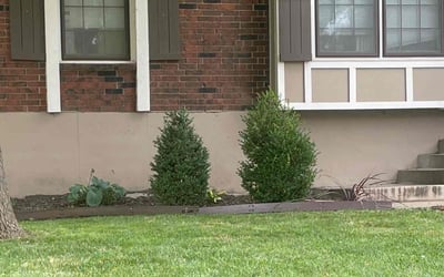 Photo of Monica R.'s yard after getting landscaping in Easton, KS