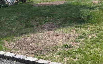Photo of Stephen H.'s yard after getting landscaping in Deer Park, NY