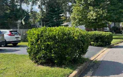 Photo of Paul L.'s yard after getting tree care in Powhatan, VA
