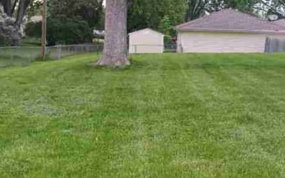 Photo of Sarah M.'s yard after getting landscaping in Maple Lake, MN