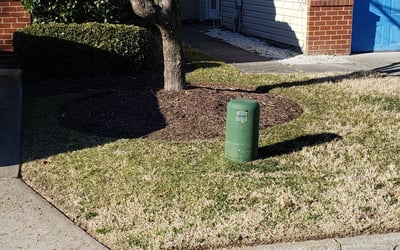 Photo of Charmian W.'s yard after getting tree care in Hampton, VA