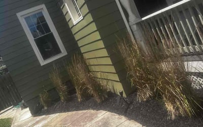 Photo of Brian C.'s yard after getting landscaping in Butler, KY