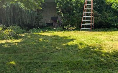 Photo of David G.'s yard after getting landscaping in Port Washington, NY