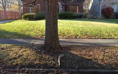 Photo of Richard C.'s yard after getting tree care in Butler, PA