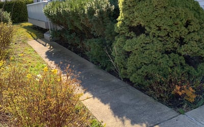 Photo of Stephanie L.'s yard after getting landscaping in Amherst, OH