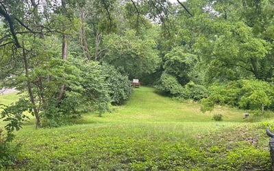Photo of Joy B.'s yard after getting landscaping in Cleves, OH