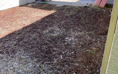 Photo of Tiffany T.'s yard after getting tree care in El Cajon, CA