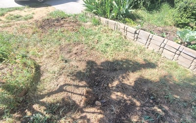 Photo of LaToya W.'s yard after getting landscaping in Bunn, NC