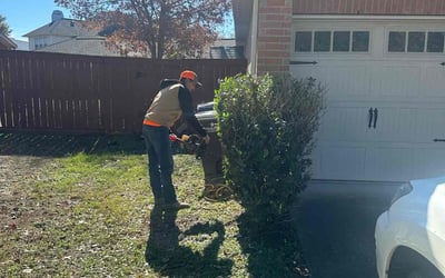 Photo of Emily N.'s yard after getting landscaping in Winnie, TX
