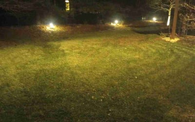 Photo of Shumeeke W.'s yard after getting tree care in Liberty, MO