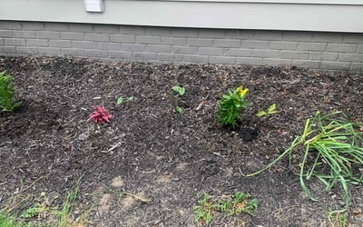 Photo of Bonita J.'s yard after getting landscaping in Maple Heights, OH