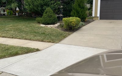 Photo of James R.'s yard after getting tree care in Pleasant Hill, MO