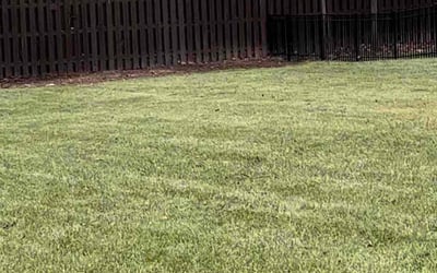 Photo of Erin G.'s yard after getting landscaping in Shelbyville, IN