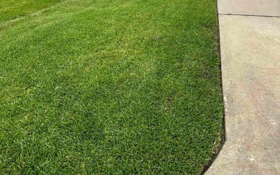 Photo of Christina H.'s yard after getting landscaping in Cypress, TX