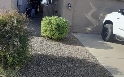 Photo of Ravi G.'s yard after getting tree care in Marana, AZ