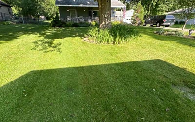 Photo of Laurie C.'s yard after getting lawn care in Hopkins, MN
