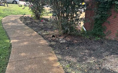 Photo of Katelynn D.'s yard after getting tree care in Nashville, TN