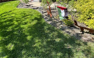 Photo of William H.'s yard after getting landscaping in Sunderland, MD