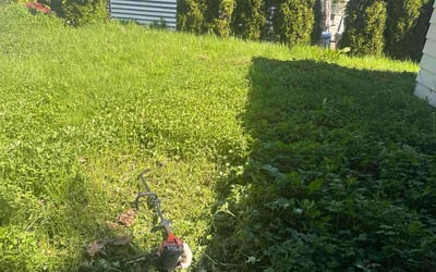 Photo of Aaron S.'s yard after getting landscaping in Vashon, WA