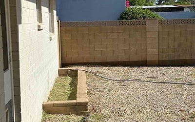 Photo of Peter B.'s yard after getting landscaping in Tempe, AZ
