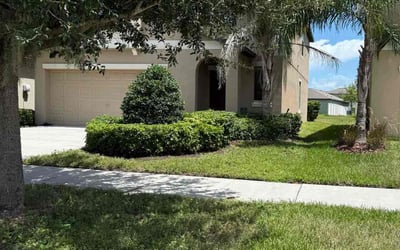 Photo of Stephanie S.'s yard after getting landscaping in Wimauma, FL