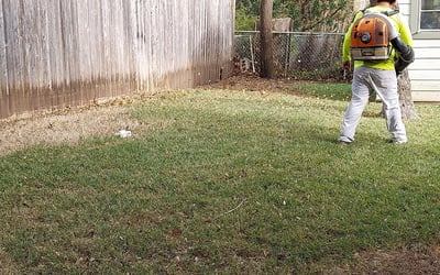 Photo of Anna H.'s yard after getting landscaping in Mc Neil, TX
