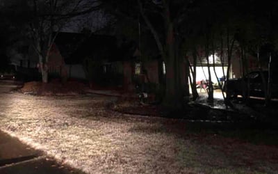 Photo of Larry H.'s yard after getting tree care in Maryville, TN
