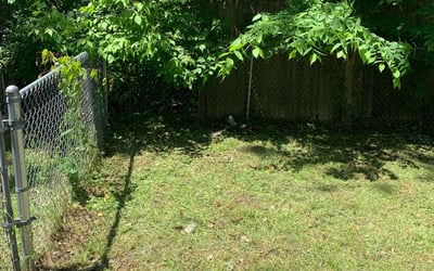 Photo of Matthew M.'s yard after getting landscaping in Hastings, MI