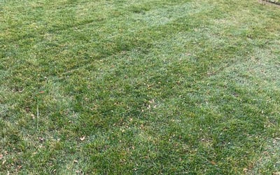 Photo of Megan P.'s yard after getting landscaping in Deer Trail, CO