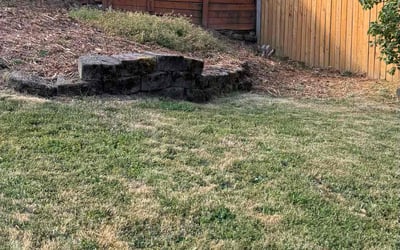Photo of Angel G.'s yard after getting tree care in Portland, OR