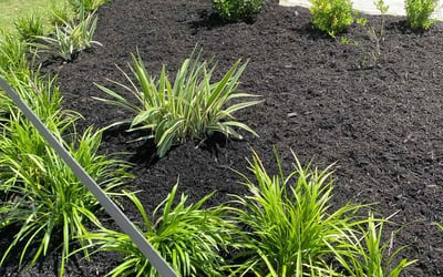 Photo of Blake b.'s yard after getting landscaping in Magnolia, TX