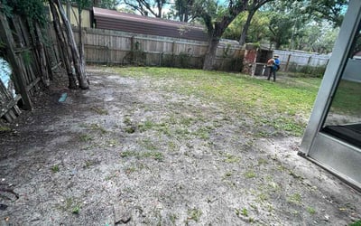 Photo of Katherine U.'s yard after getting tree care in Largo, FL