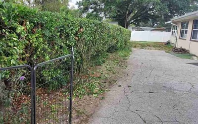 Photo of Chris C.'s yard after getting landscaping in Zephyrhills, FL